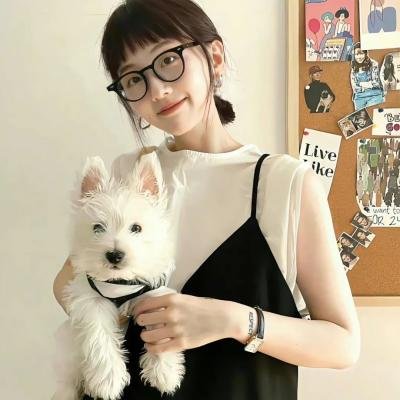柯明斯基理论第一季
