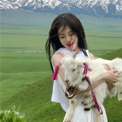 我的朋友叫哈维